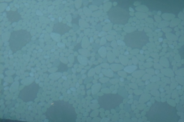 女湯内湯のお湯と浴槽の底のタイル